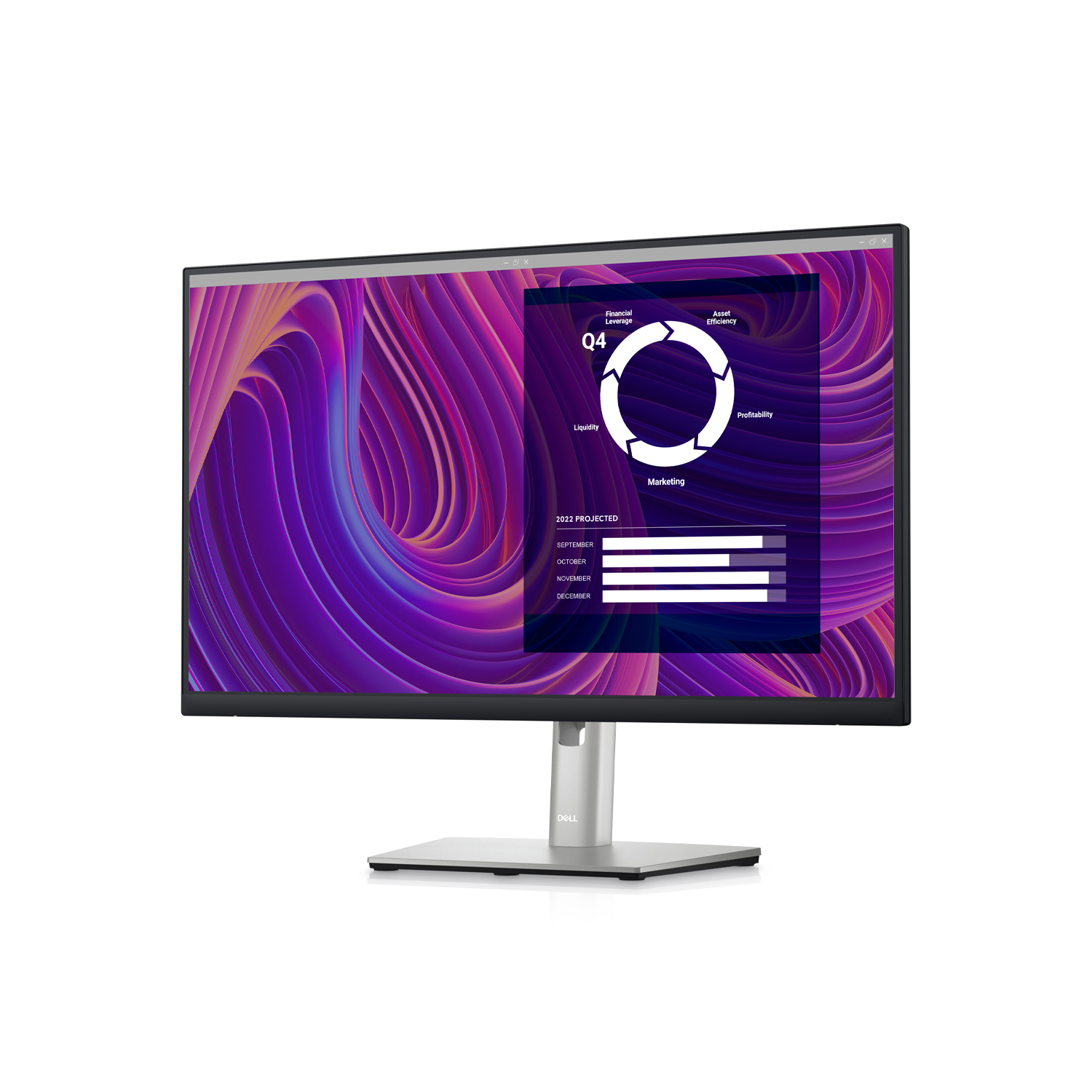 24 MONITOR P2423D