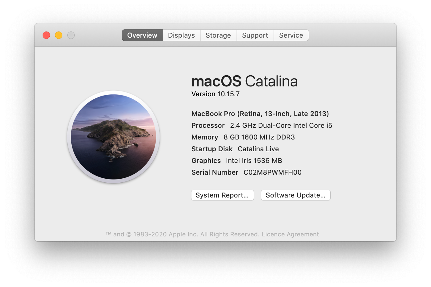 Macbook Pro 13-inch - i5 - 256GB- Silver (Bargains)