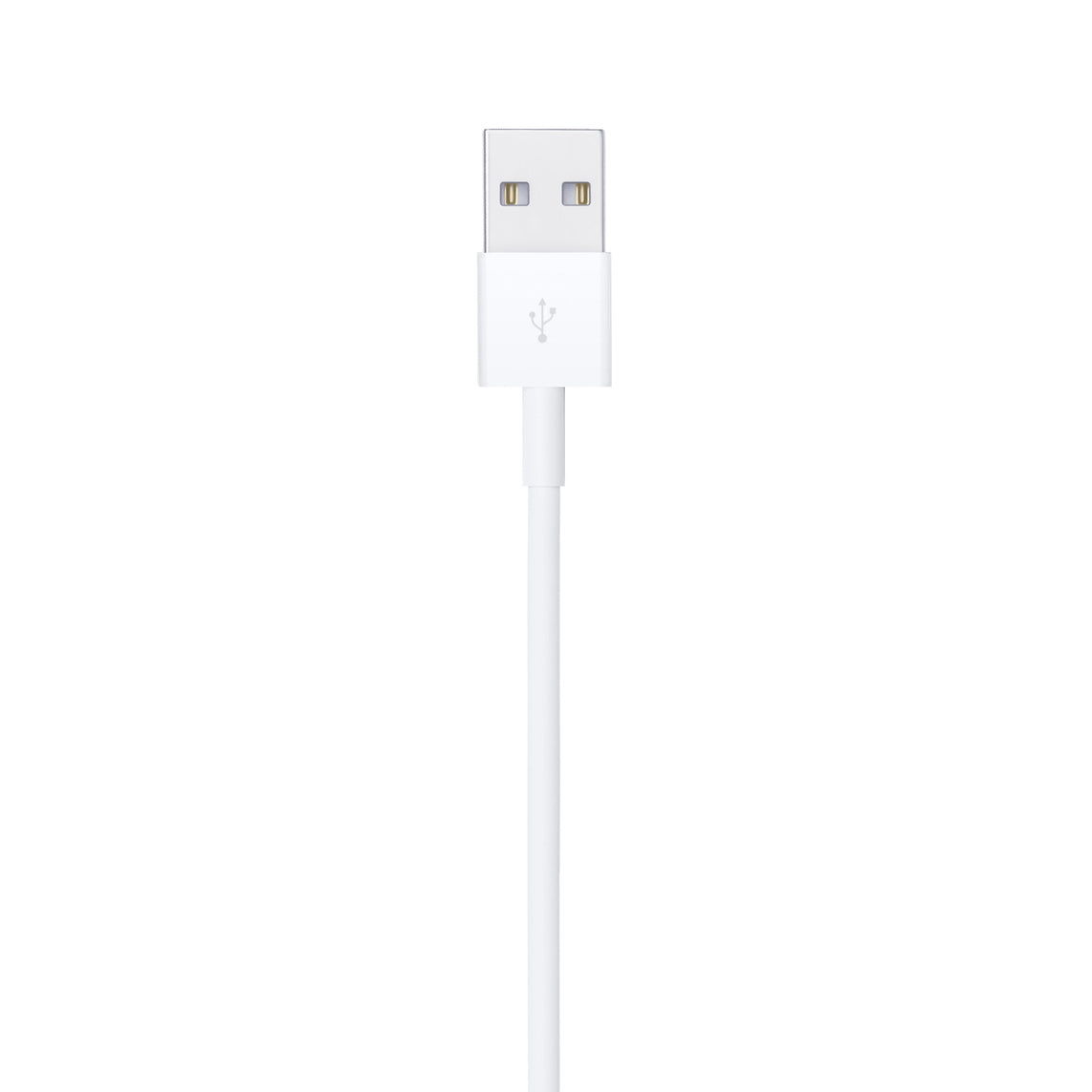 Usb-A to Lightning Cable (1m)