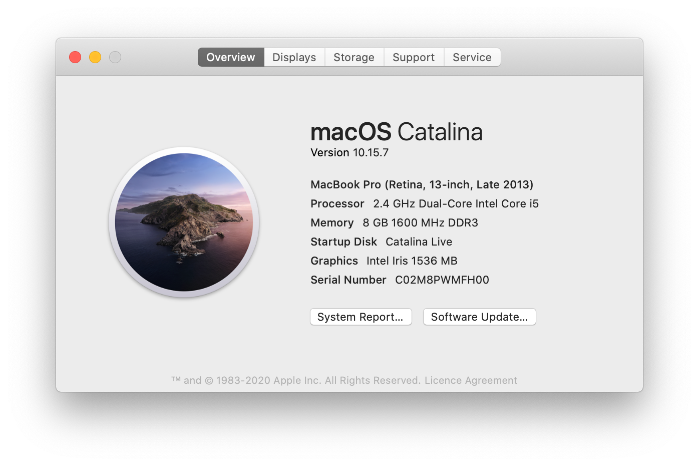 Macbook Pro 13-inch -  i5 - 256GB- Silver (Bargains)