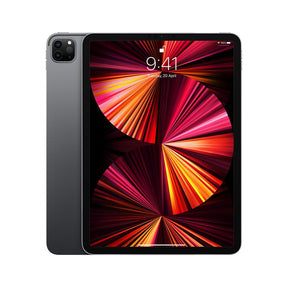 iPad Pro 11 inch M1 - Current - Wi-Fi - Space Grey